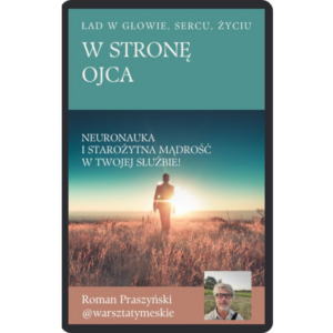 okładka ebooka WSO