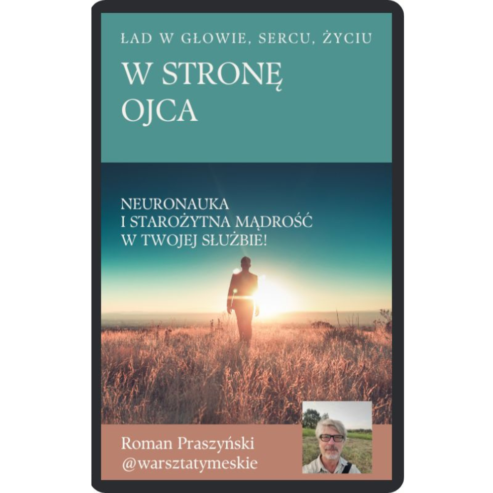 okładka ebooka WSO