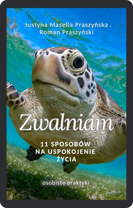 Okładka ebooka ZWALNIAM OK
