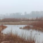 Bóg za Szafą – odc.2